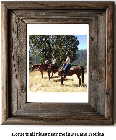 horse trail rides near me in DeLand, Florida